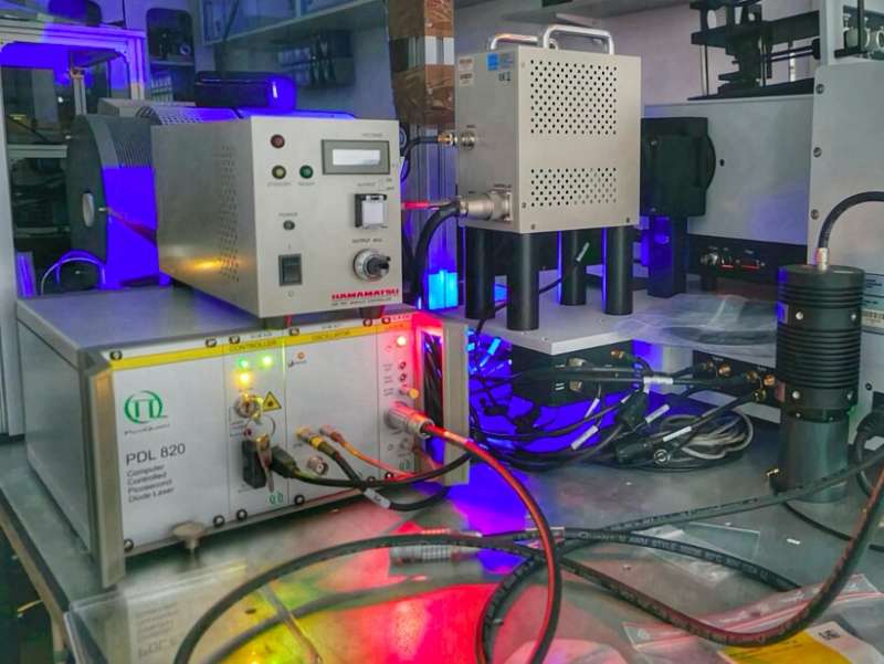 Study uncovers the role of exciton lifetimes in enabling highly efficient organic solar cells