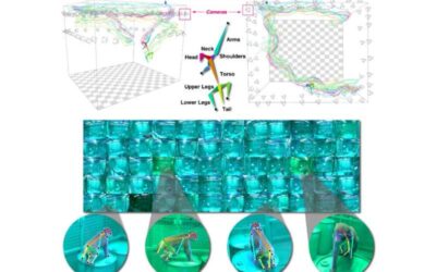 OpenMonkeyStudio: A deep-learning-based system to estimate 3-D poses of freely moving macaques