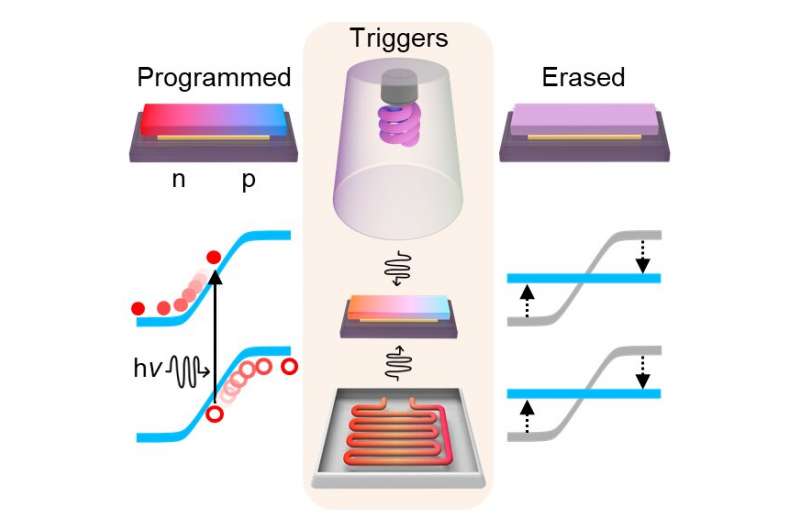 Programmable electronics based on the reversible doping of 2-D semiconductors