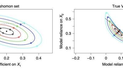 A framework to assess the importance of variables for different predictive models