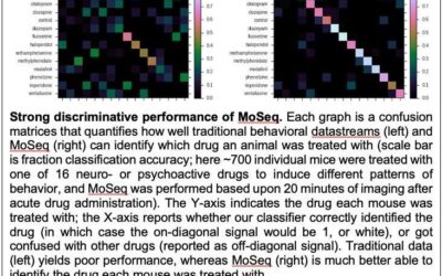 A technique to study the behavior elicited by neuroactive and psychoactive drugs