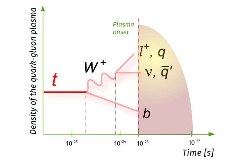 The first evidence of top quark production in nucleus-nucleus collisions