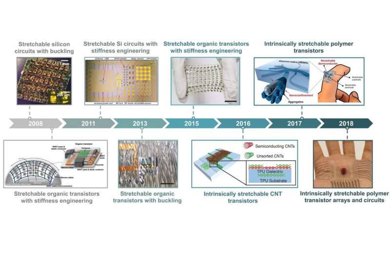 Researchers review advancements in the development of stretchable transistors