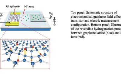 Researchers identify a strategy to achieve large transport gap modulation in graphene