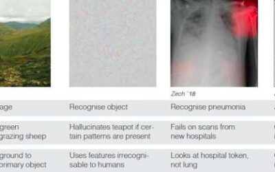 Exploring the notion of shortcut learning in deep neural networks