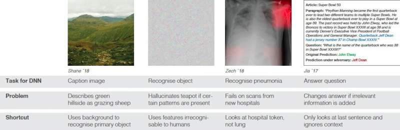 Exploring the notion of shortcut learning in deep neural networks