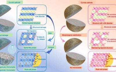 Investigating the role of cobalt in rechargeable batteries to develop more effective cobalt-free cathodes