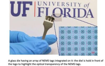 NEMS IDs: Secure nanoelectromechanical tags for identification and authentication
