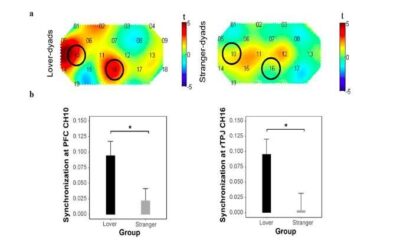 Study finds that lovers perform better than random pairs in collaborative creative tasks