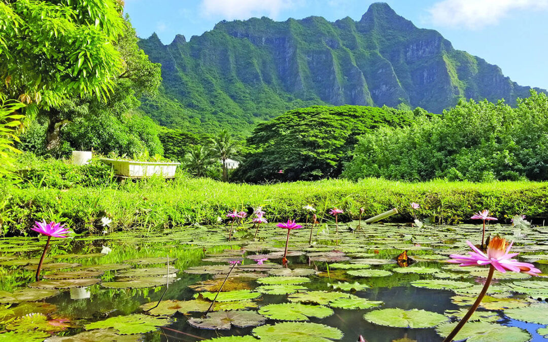Teaching Change: Bioculturally Grounded, Place-based Environmental Education in Hawaiʻi