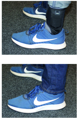 Dr Fay B Horak – Wearable Technology to Detect Risk of Falling and Frailty