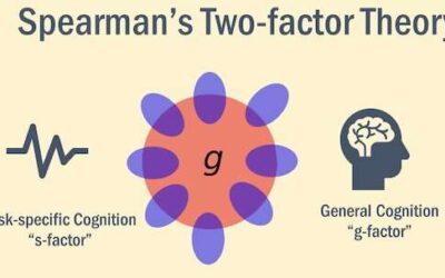 A framework to evaluate the cognitive capabilities of machine learning agents