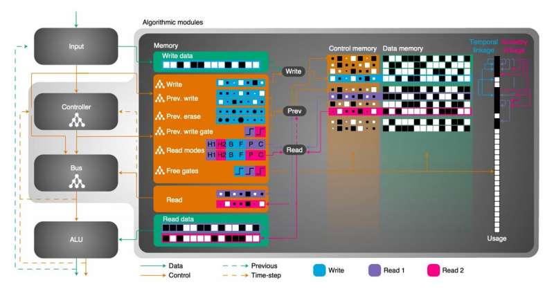 A memory-augmented, artificial neural network-based architecture