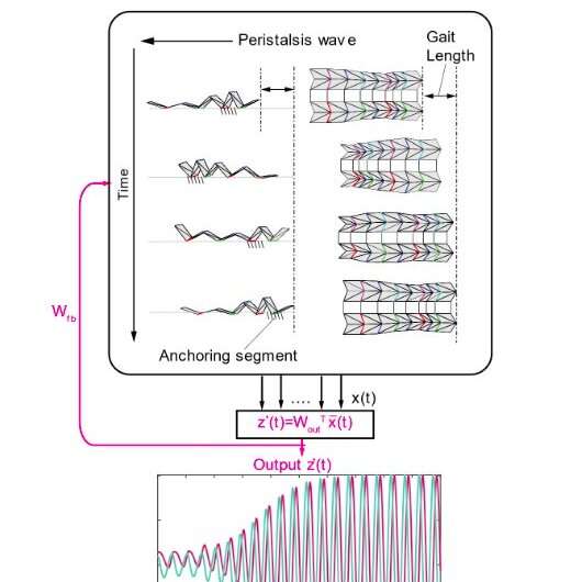 A new framework for robotics applications that merges reservoir computing with origami