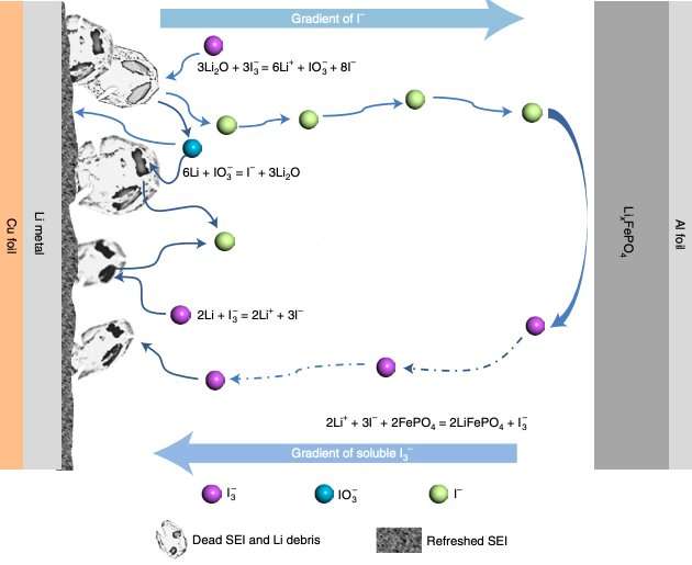 A strategy to rejuvenate dead lithium inside batteries