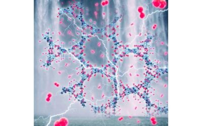 A strategy to transform the structure of metal-organic framework electrocatalysts