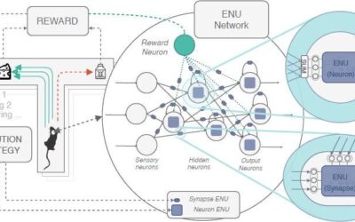 Evolvable neural units that can mimic the brain’s synaptic plasticity