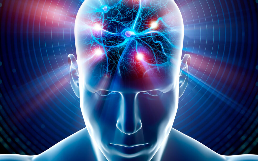 Development of GABAergic neuron connectivity in health and in disease