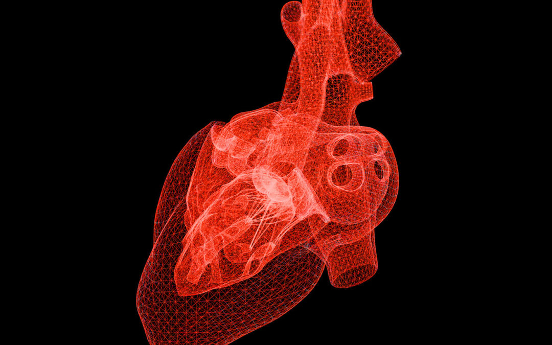 Effects of T-Type calcium channel re-expression after heart attacks