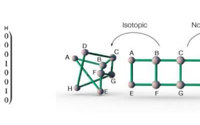 Network isotopy: A framework to study the 3-D layouts of physical networks