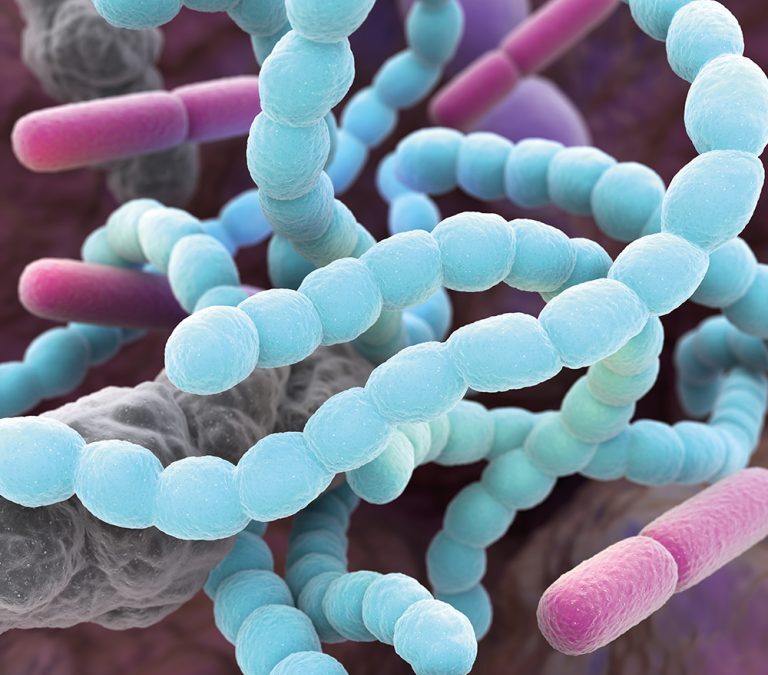 Dr Amy Schmidt – iAMResponsibleTM: Educating Food Producers & Consumers About Antimicrobial Resistance