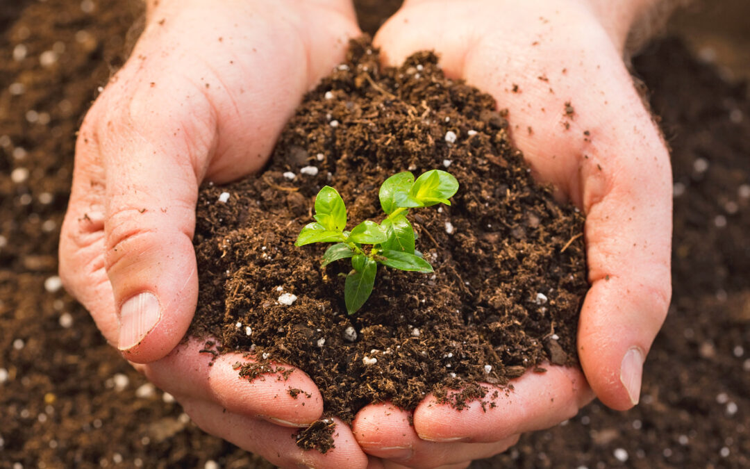 The Role of Human Motivation in Achieving Organisational Sustainability – Professor Martina Blašková, University of Žilina