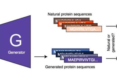 ProteinGAN: A generative adversarial network that generates functional protein sequences