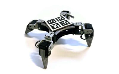 RealAnt: A low-cost quadruped robot that can learn via reinforcement learning