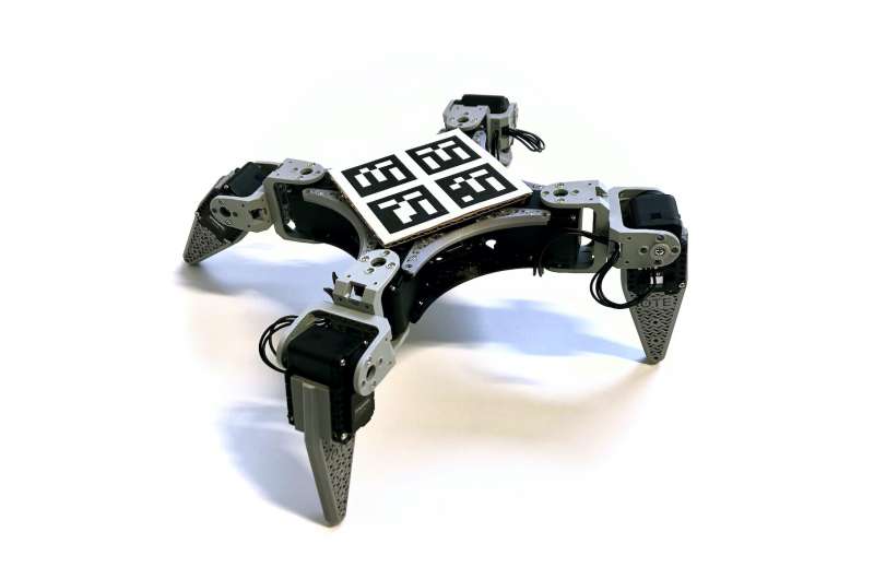 RealAnt: A low-cost quadruped robot that can learn via reinforcement learning