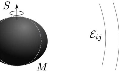 Spinning black holes could deform under an external and static gravitational field