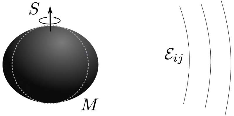 Spinning black holes could deform under an external and static gravitational field