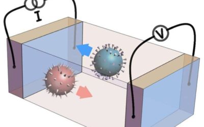 The long-range transport of deconfined magnetic hedgehogs