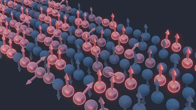 The observation of Kardar-Parisi-Zhang hydrodynamics in a quantum material