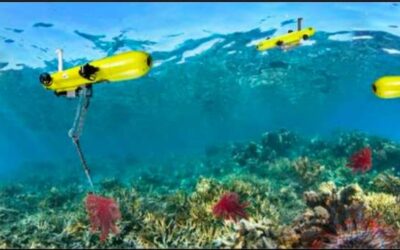 Using AUVs to control the outbreak of crown-of-thorns starfish in Australia’s Great Barrier Reef