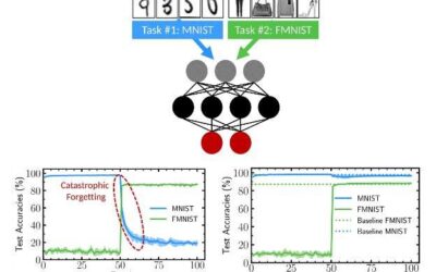 A bio-inspired technique to mitigate catastrophic forgetting in binarized neural networks