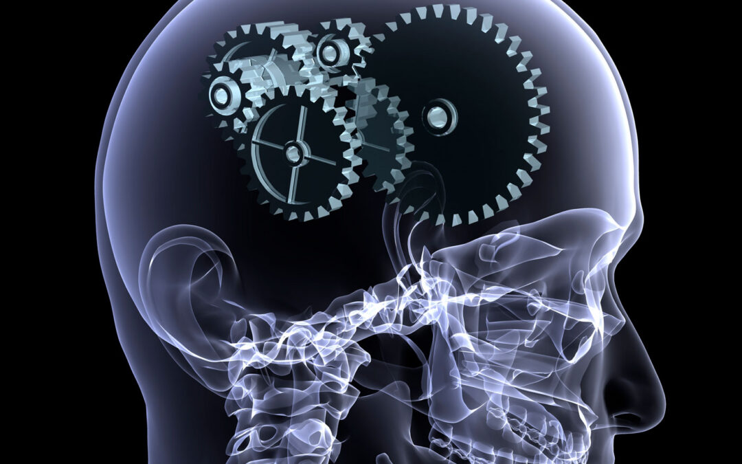 Unveiling the neurobiological processes behind cognitive control