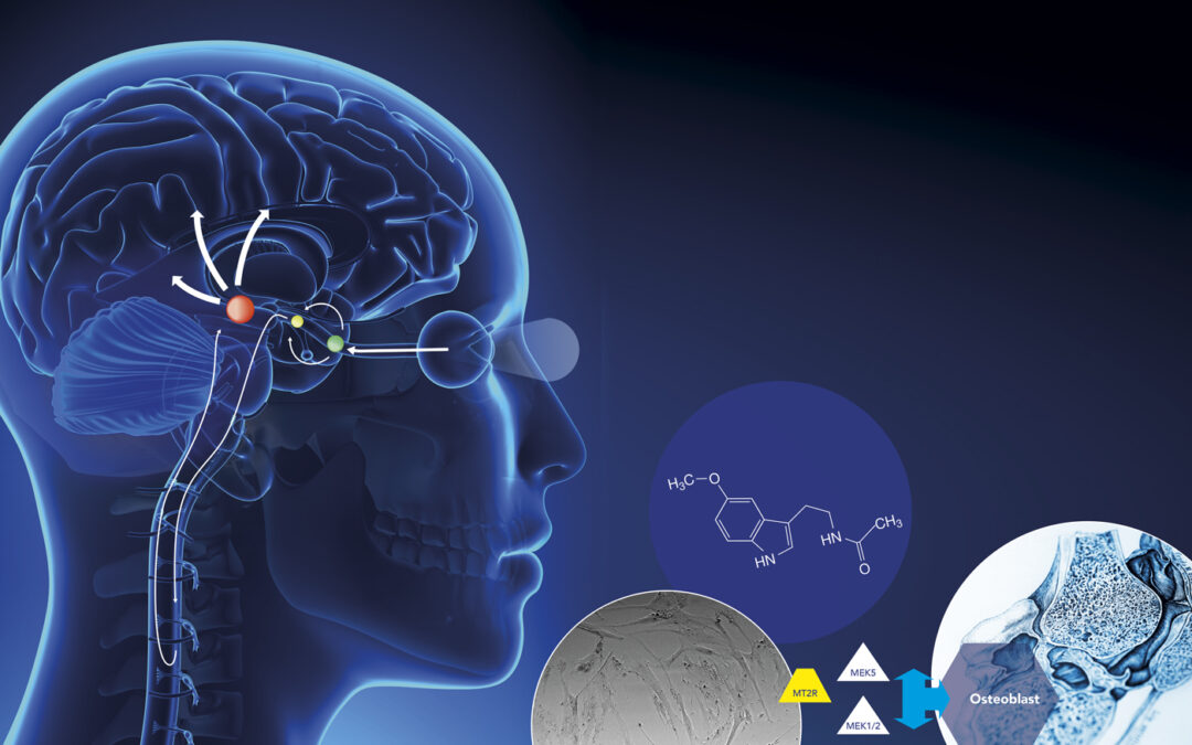 Beyond sleep: exploring the ways in which melatonin communicates with cells