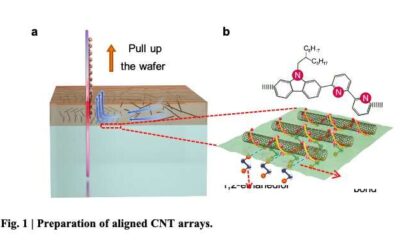 Radiofrequency transistors based on high-purity carbon nanotube arrays