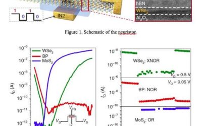 Researchers fabricate logic gates based on neuristors made of 2D materials