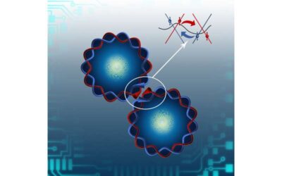 The observation of 1D Coulomb drag between adjacent QSH edges separated by an air gap