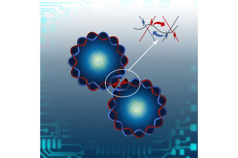 The observation of 1D Coulomb drag between adjacent QSH edges separated by an air gap