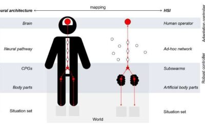 A theoretical approach for designing a self-organizing human-swarm system