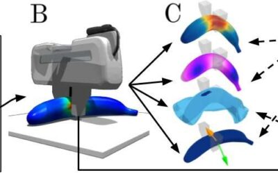 DefGraspSim: A pipeline to evaluate robotic grasping of 3D deformable objects