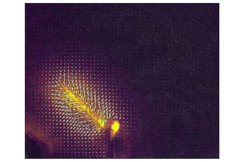 Dynamic speckle holography: A highly effective optical technique that combines imaging and scattering