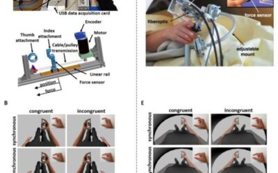 Researchers investigate the role of interaction forces in how human perceive hand ownership and hand agency
