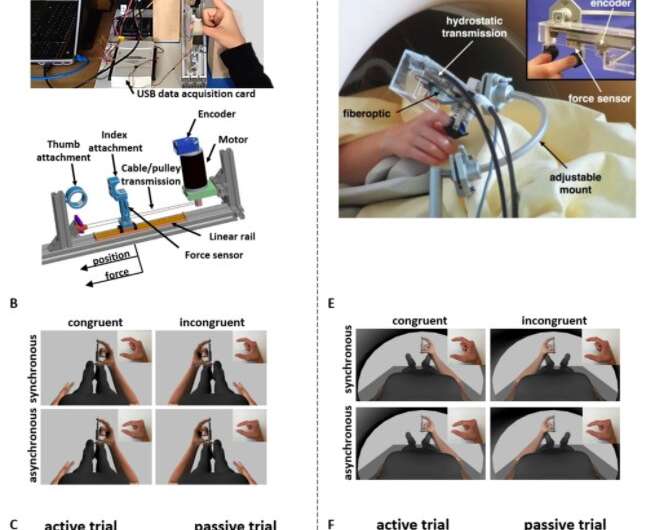 Researchers investigate the role of interaction forces in how human perceive hand ownership and hand agency