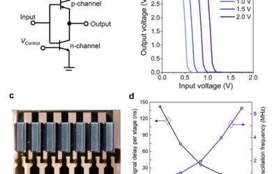 Researchers realize vertical organic permeable dual-based transistors for logic circuits