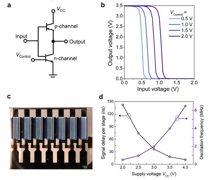 Researchers realize vertical organic permeable dual-based transistors for logic circuits