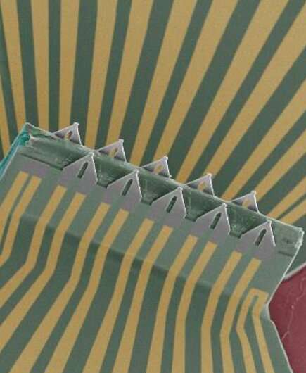 A device based on 3D transistor arrays for collecting intra and inter-cellular recordings