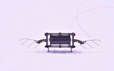 A new micro aerial robot based on dielectric elastomer actuators